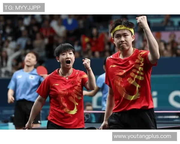 乒乓球比赛经验排行榜揭晓上海乒乓球队荣登第五名引关注