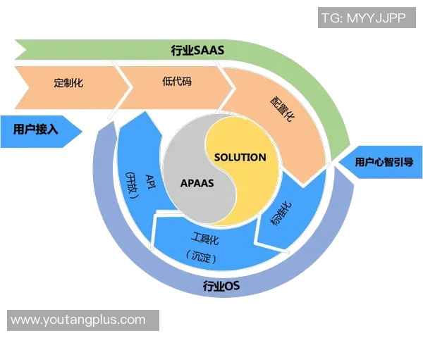深圳乒乓球队转型之路的挑战与机遇全景观察